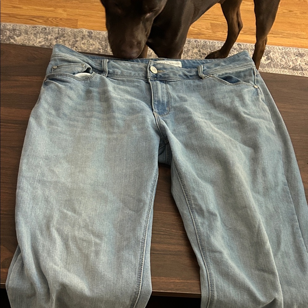 1822 Denim Light Blue Straight Leg Pants
